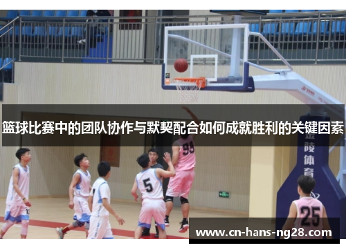 篮球比赛中的团队协作与默契配合如何成就胜利的关键因素